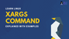 How to Use Xargs Command in Linux [Explained With Examples]