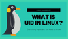 What is UID in Linux? How to Find UID of a User?