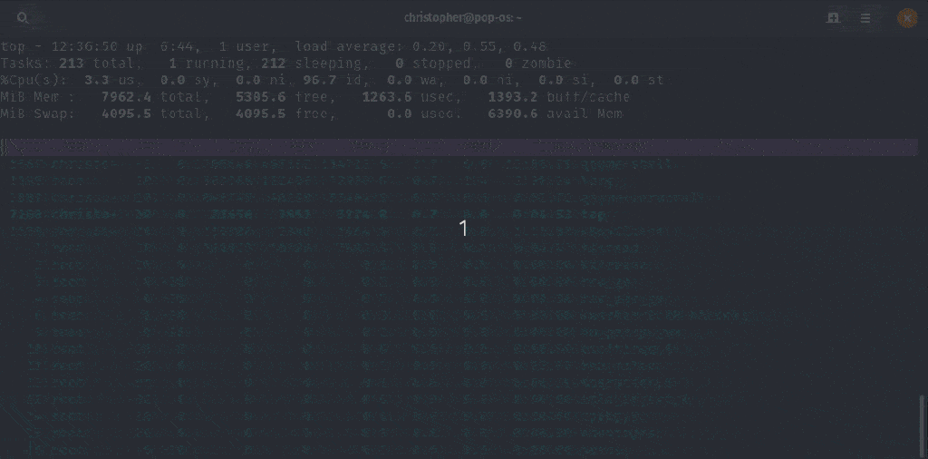 Using the Top Command as Task Manager in Linux