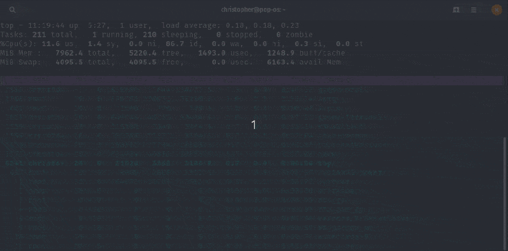 Using the Top Command as Task Manager in Linux