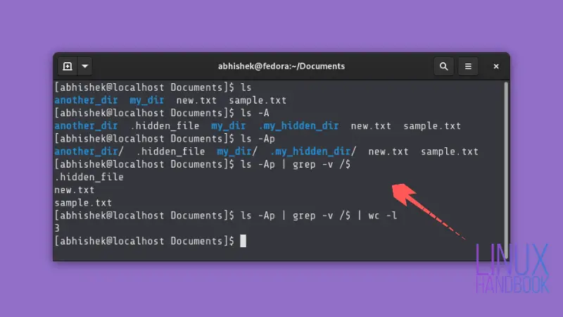 How to Count Number of Files in a Directory in Linux