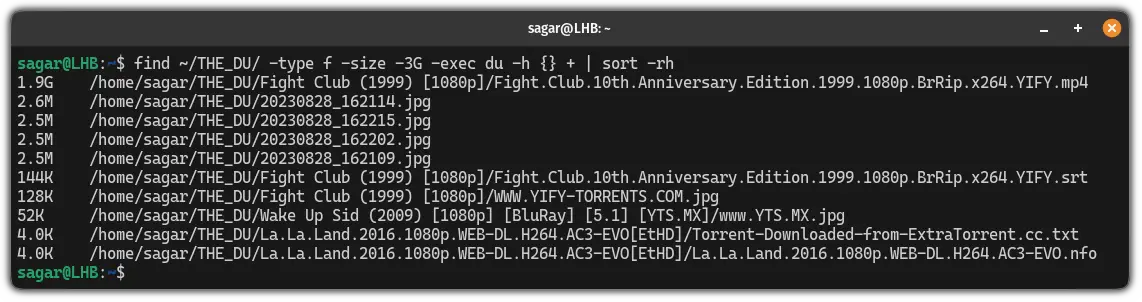 Sort du Command Output by Size in Linux