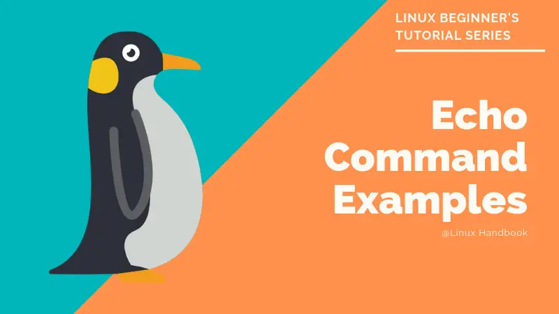 echo Command in Linux [7 Practical Examples]