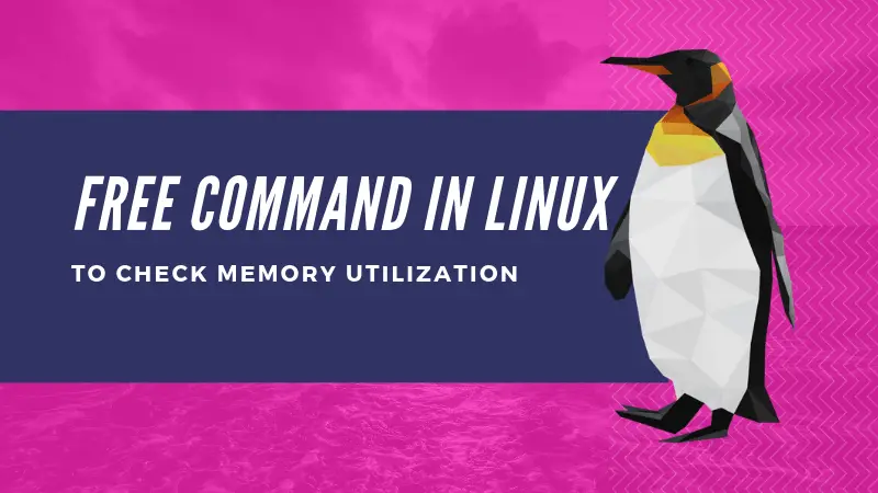 Free Command in Linux: Explained With Examples