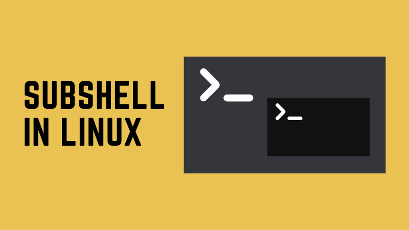 What is Subshell in Linux? [Explained]