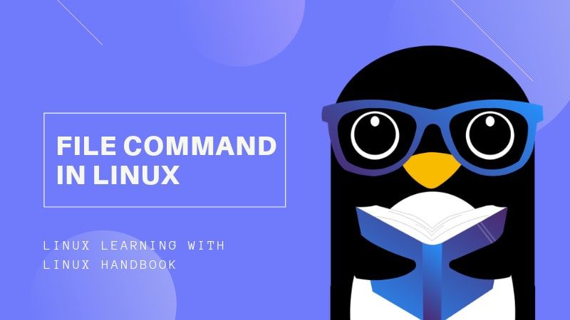 file command in Linux