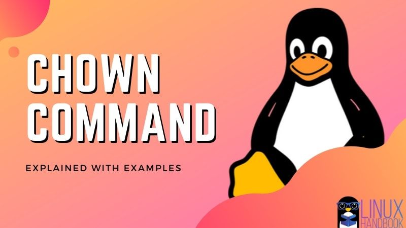 chown command
