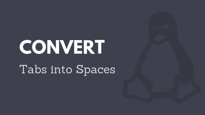 Convert tabs into spaces
