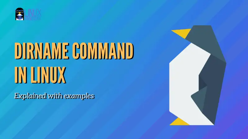 Using Linux Dirname Command in Bash Scripts