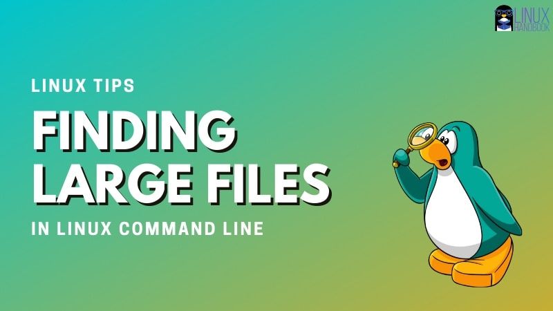 Finding the Biggest Files and Folders in Linux Command Line