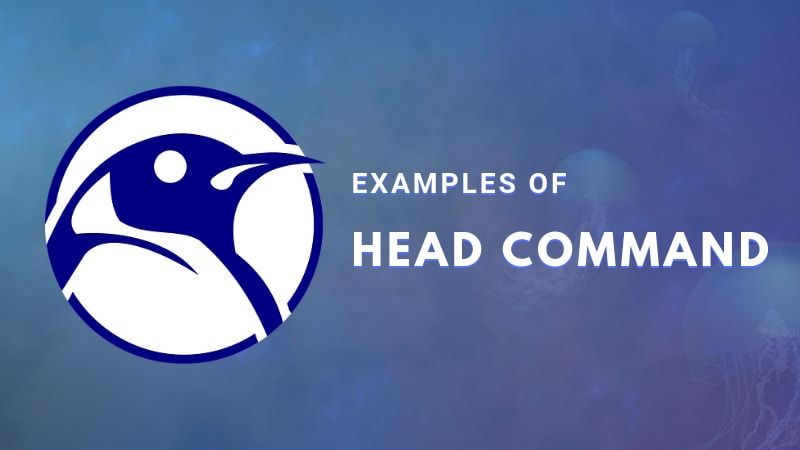 head Command Examples