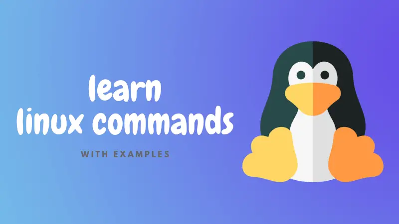 chmod Command Examples