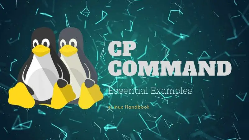 cp Command Examples