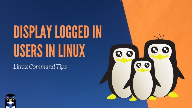 Display logged in users in Linux