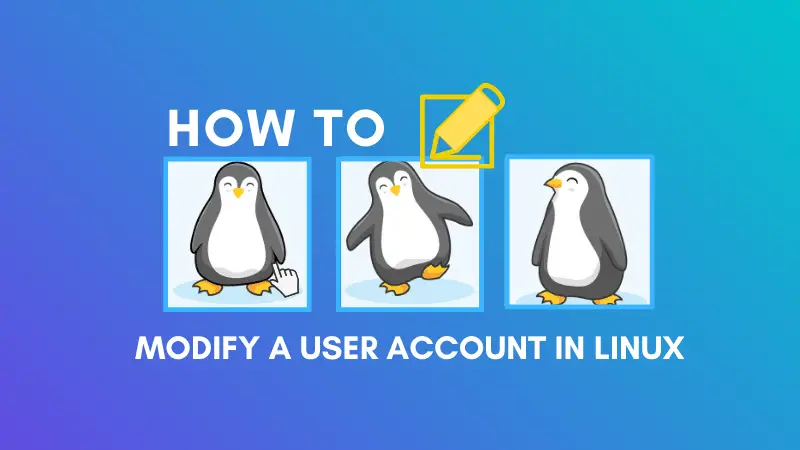 Modify user accounts in Linux