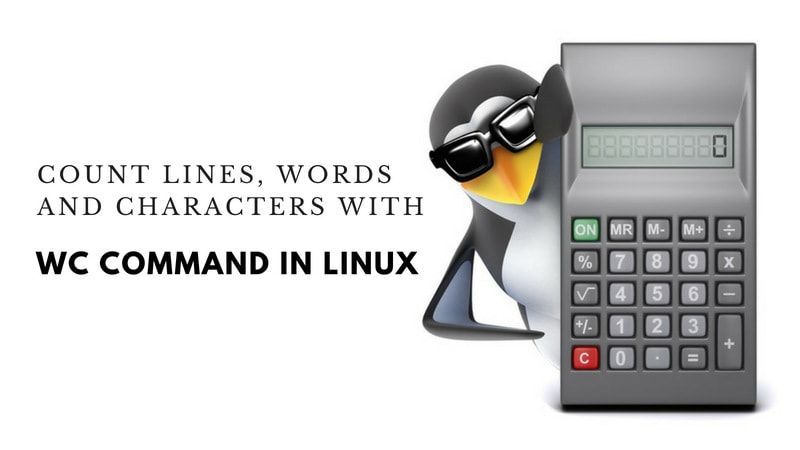 wc Command Examples