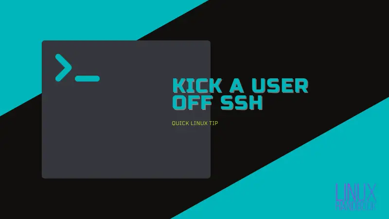 Logout a user from ssh