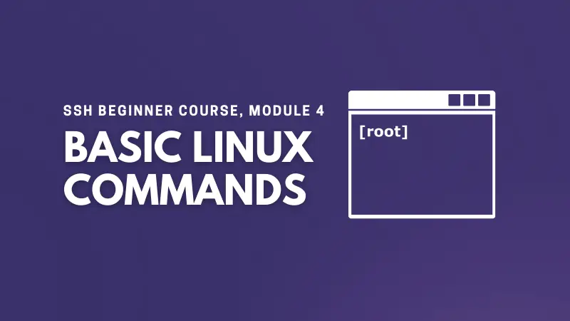 Module 4: Linux Command Basics