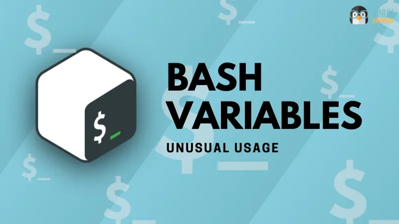 Bash variable usage