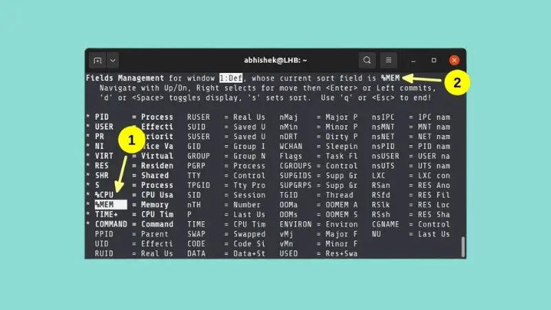 Sort the top command on memory usage by processes