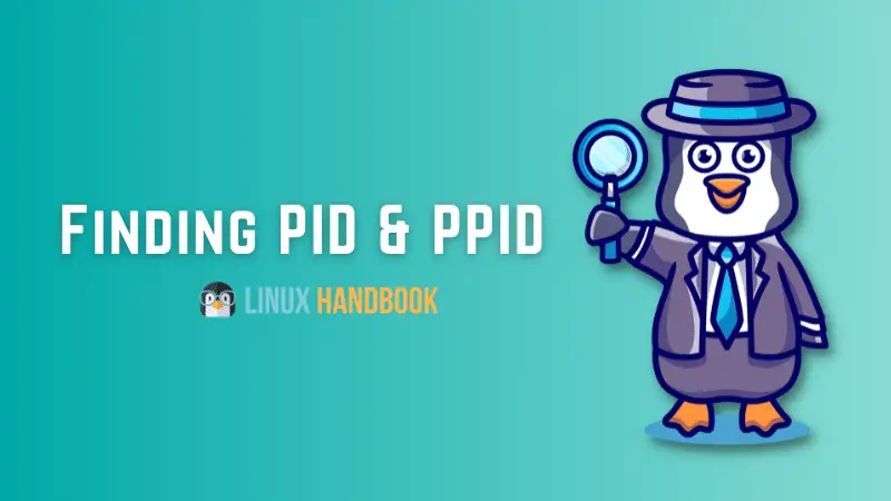 Finding PID in Linux command line