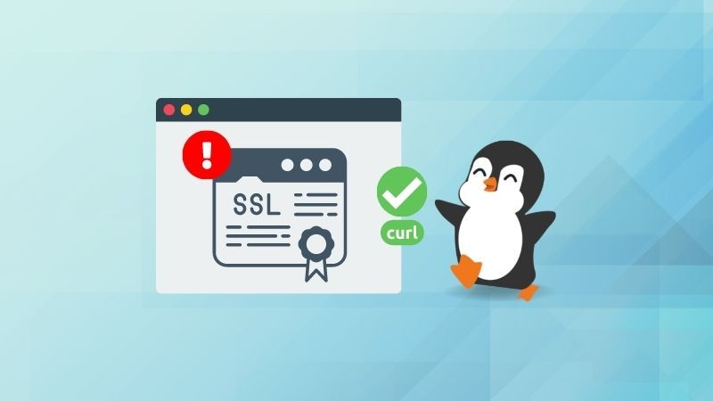 Ignore SSL certificate error with curl