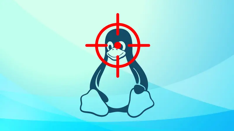 Kill Command Examples in Linux