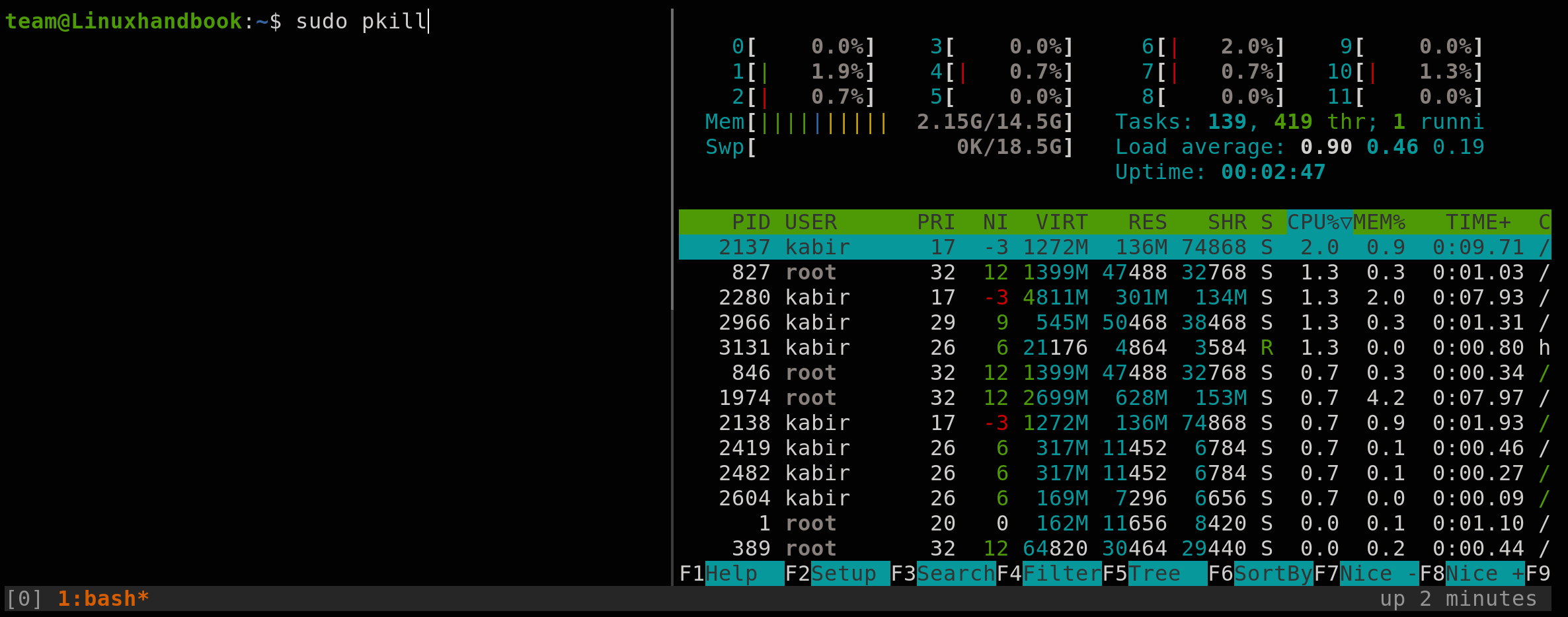 using-pkill-command-in-linux-to-kill-process-by-name