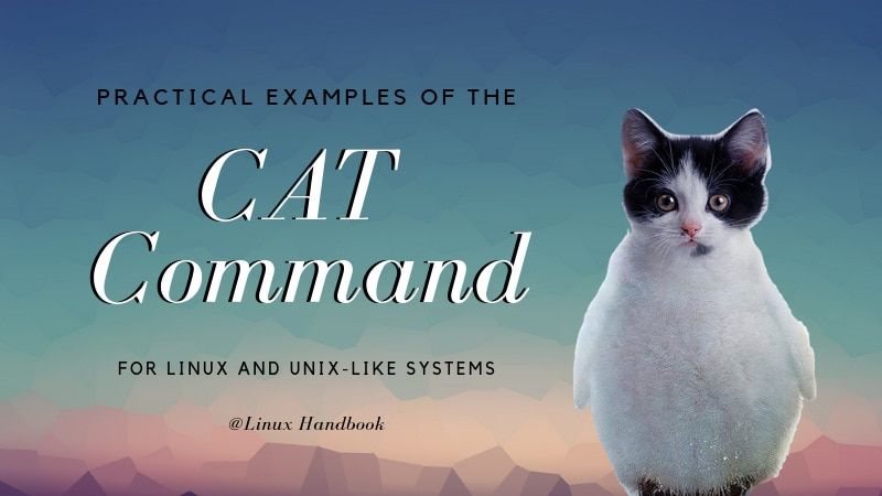 cat command in Linux illustration