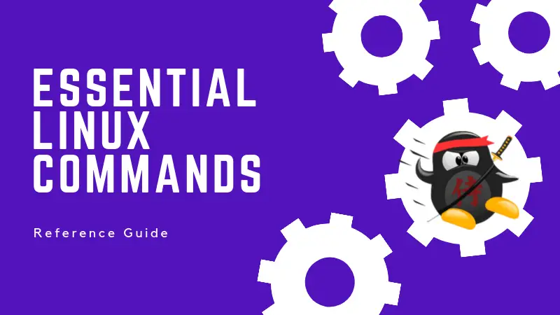 Essential Linux commands