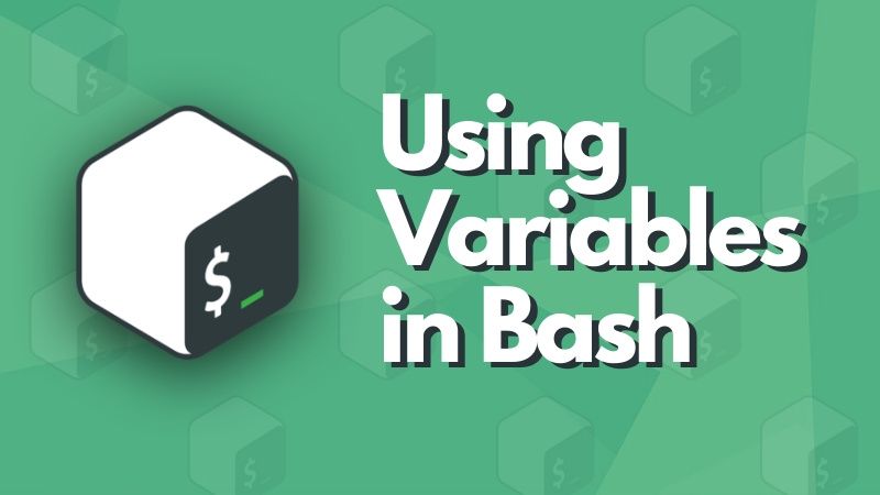 Variables in Bash scripting