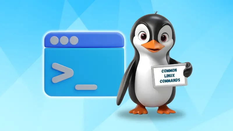 Common Linux commands