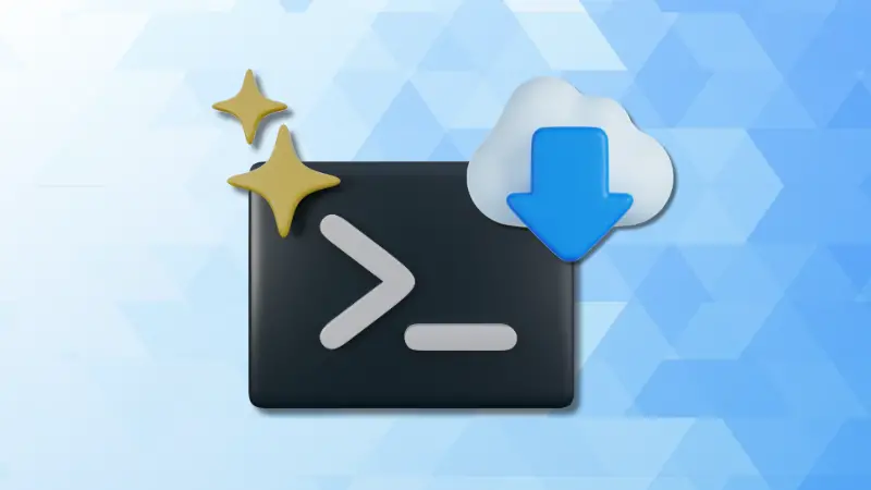 wget command