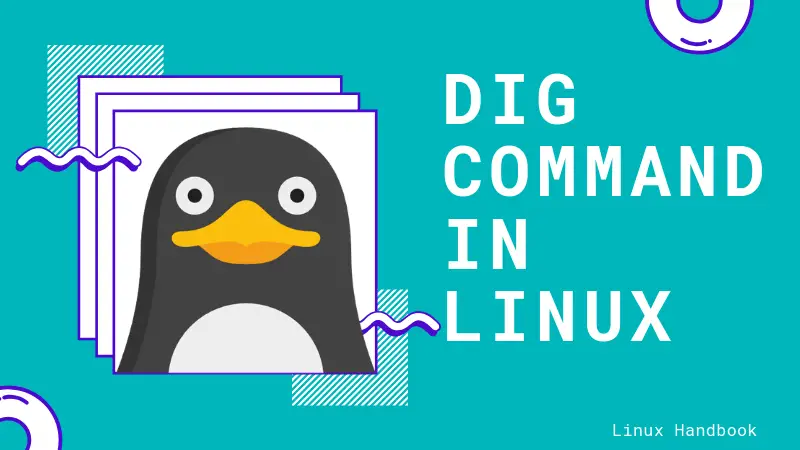 Dig Command In Command Prompt Dig Command Examples in Linux
