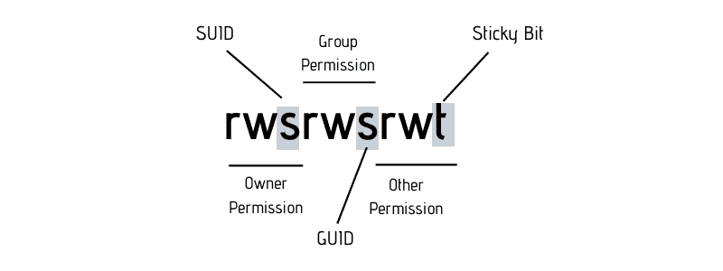 suid and sgid bitstamp