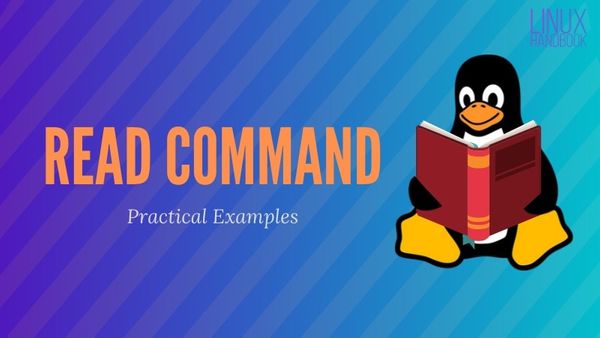 Read Command Linux