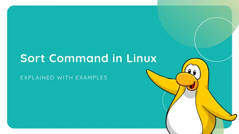 Sort Command Linux