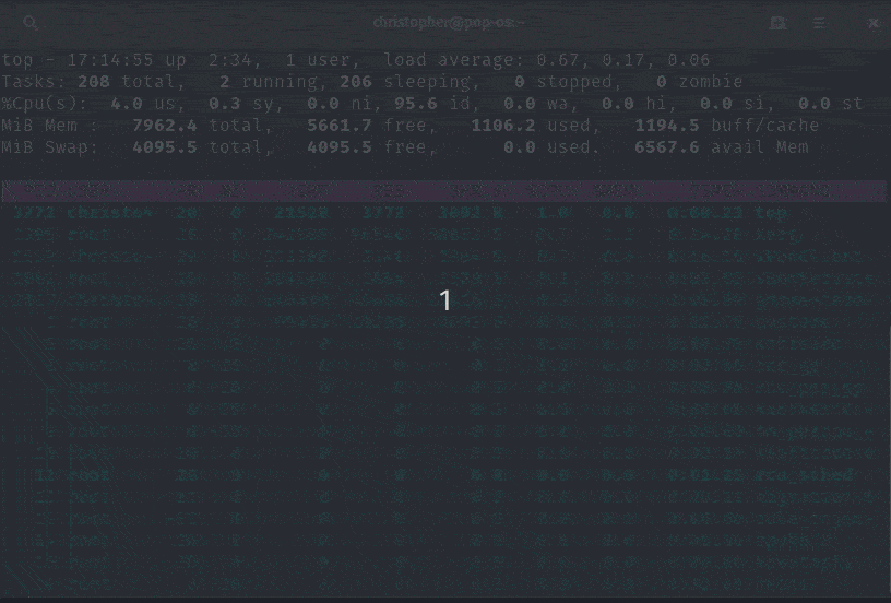 Using the Top Command as Task Manager in Linux