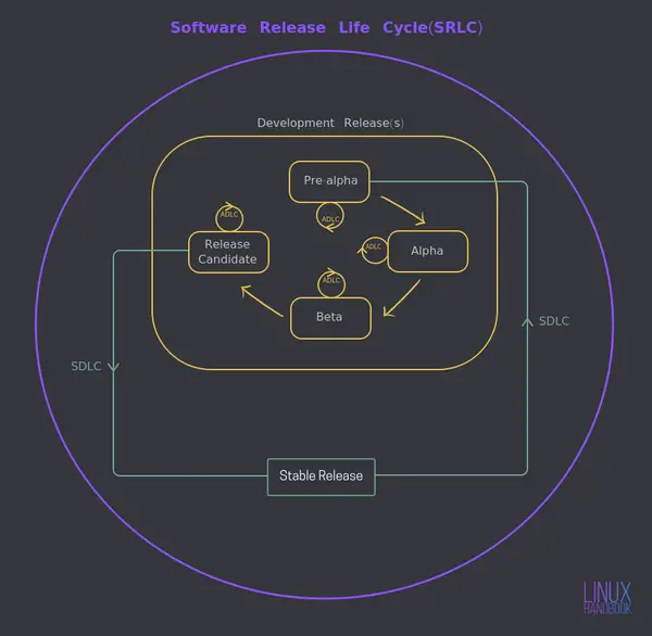 The Software Release Life Cycle in DevOps