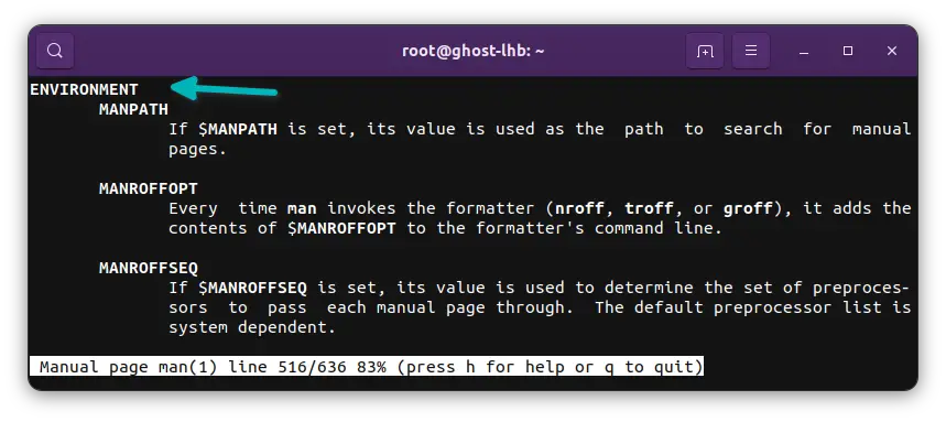ENVIRONMENT section of a man page