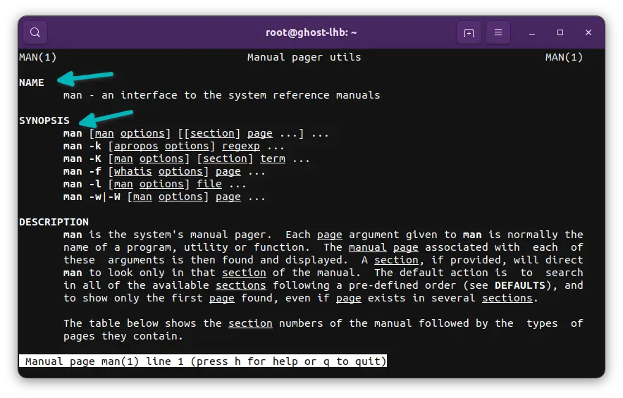 man page elements in Linux