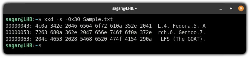 get hex dump of the last n lines using the xxd command in linux