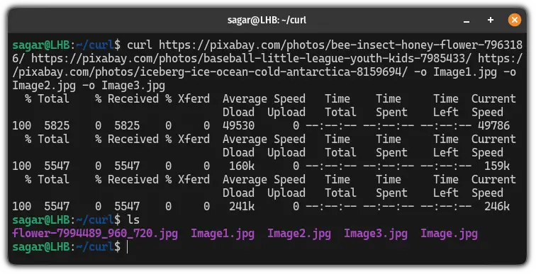 save cookie file curl