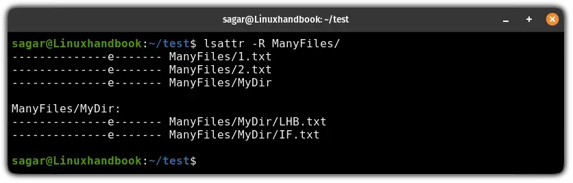 Lsattr Command In Linux 5 Practical Examples lsattr-command-in-linux-5-practical-examples